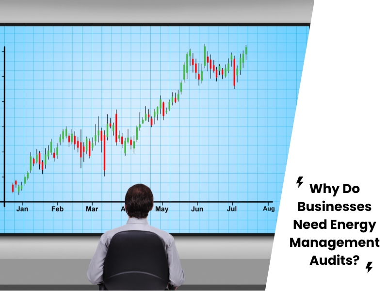 Person analyzing an upward energy usage chart on a large screen with text: 'Why Do Businesses Need Energy Management Audits?